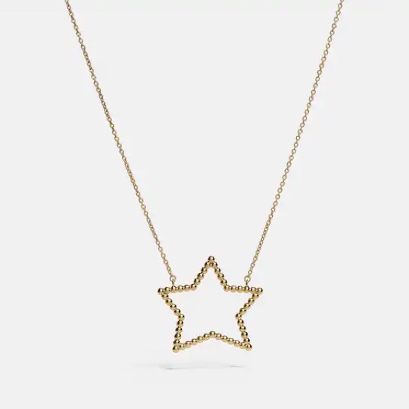 Coach Oversized Star Necklace - Picture 1 of 2